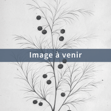 Image d'attente Asperge