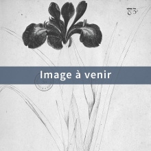 Illustration d'attente Iris (France, Paris, Bibliothèque Sainte-Geneviève, Ms. 1026 f. 080) 