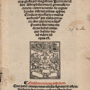 Turrel, Pierre. Alkabitius Astronomie iudiciarie principia tractans (Blois, Bibliothèque municipale, I 959)