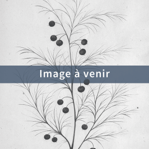 Image d'attente Asperge