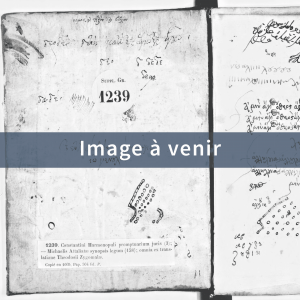 Image attente 01