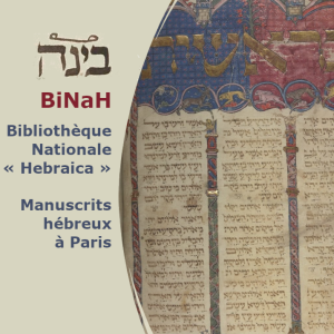 binah logo