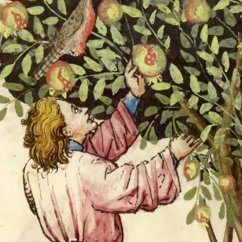 Biblissima portal home page