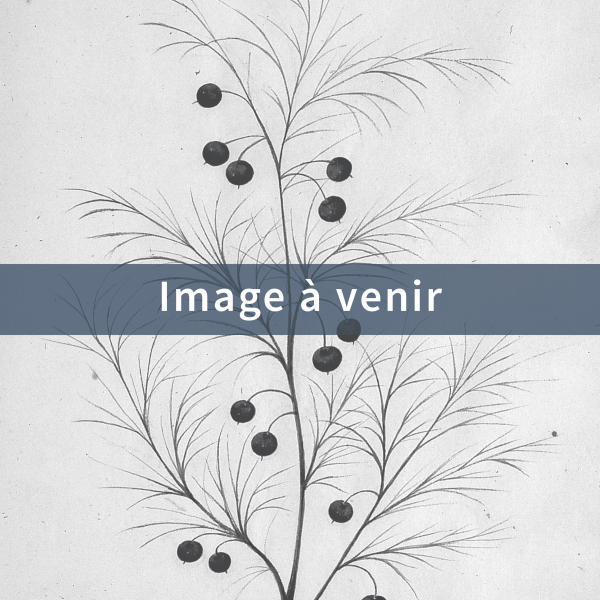 Image d'attente Asperge