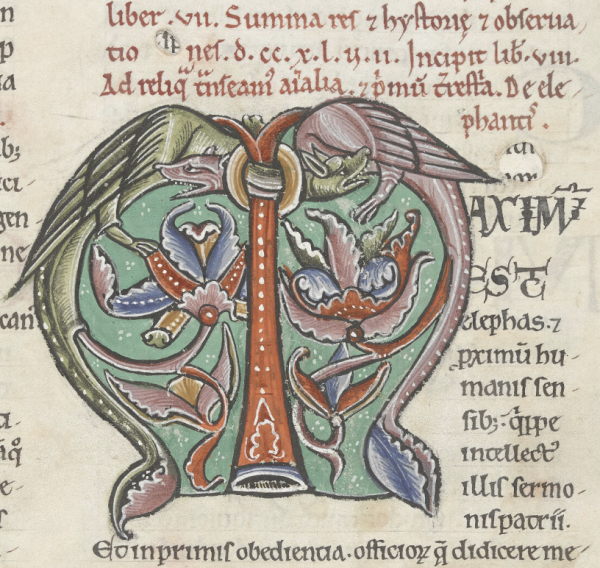 London, British Library, Arundel 98, f. 66r, début du livre VIII de la Naturalis historia